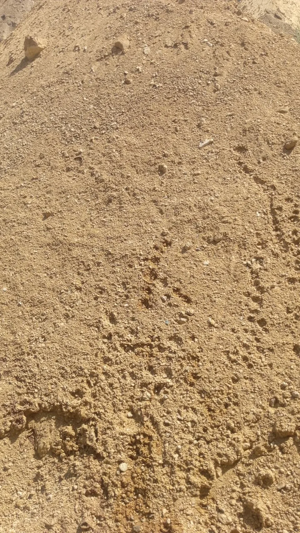 Tan bajri mixes with small stones in fine material